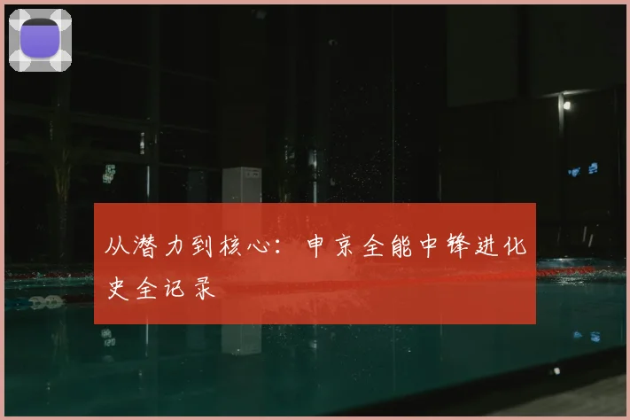 从潜力到核心：申京全能中锋进化史全记录