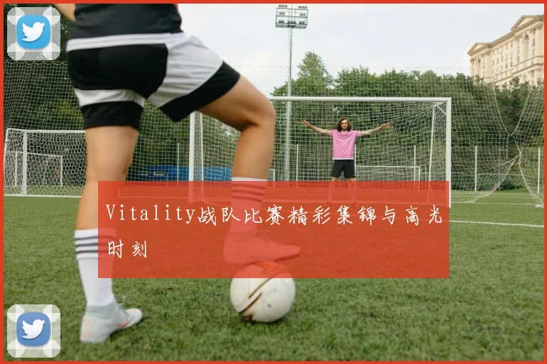 Vitality战队比赛精彩集锦与高光时刻